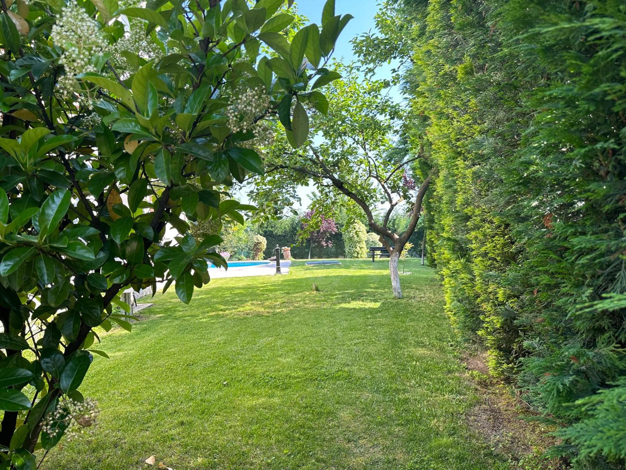 Guzel Evler Family Resort Sapanca Eksteriør billede
